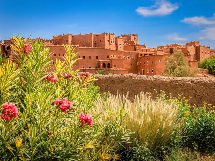 Singlereis Rondreis Zuid-Marokko: Kasbahs & Sahara