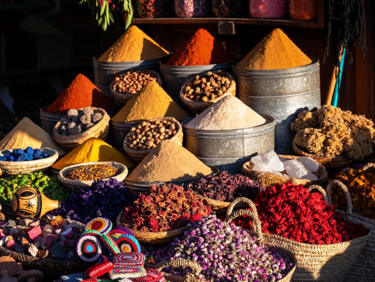 Singlereis Rondreis Zuid-Marokko: Kasbahs & Sahara