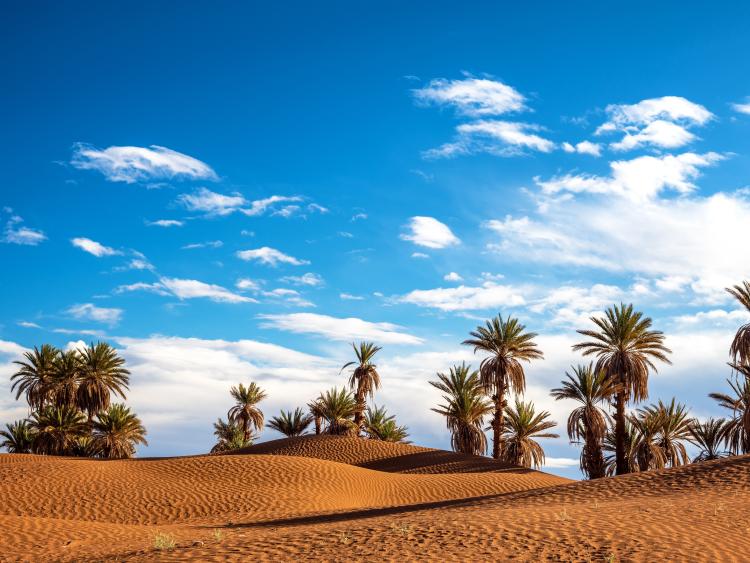 Singlereis Rondreis Zuid-Marokko: Kasbahs & Sahara