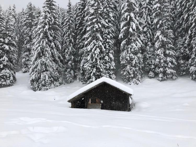 Singlereis Skiën en Wandelen in Ski Juwel en Wilder Kaiser-Brixental