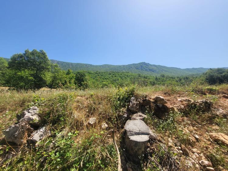 Singlereis Strand en Cultuur in Ohrid
