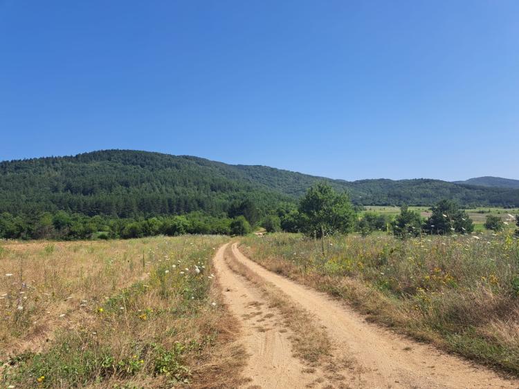 Singlereis Strand en Cultuur in Ohrid