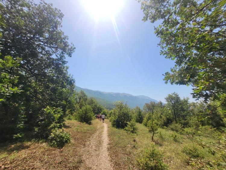 Singlereis Strand en Cultuur in Ohrid