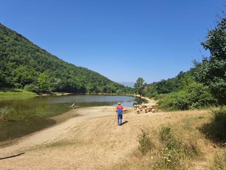 Singlereis Strand en Cultuur in Ohrid
