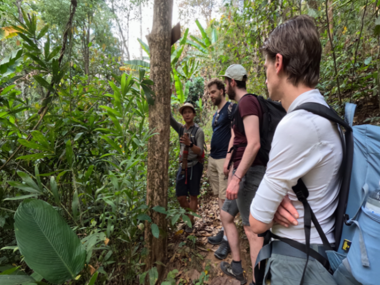 Dag 10: Chiang Mai / Optionele trekking