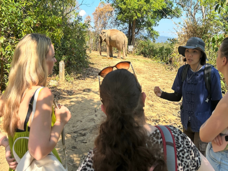 Dag 11: Chiang Mai / Optionele trekking