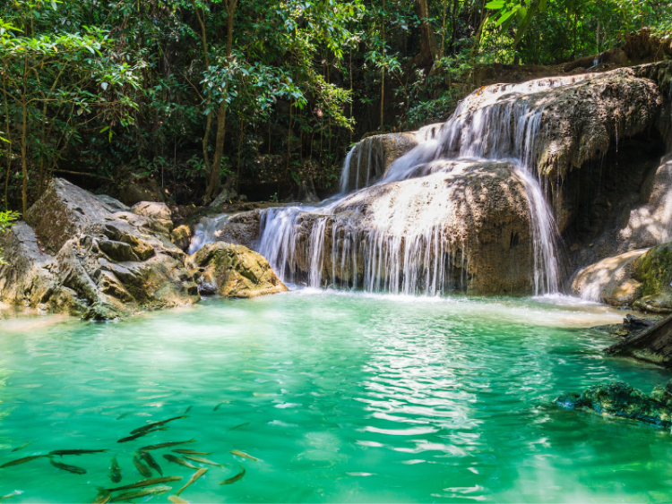Dag 5: Kanchanaburi / Bezoek Erawan waterval