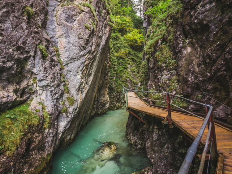 Singlereis Wandelvakantie In de Alpen