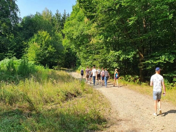 Singlereis Weekendjeweg XL (HBO-WO) Wandelen op de Veluwe