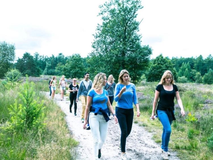 Singlereis Weekendjeweg XL (HBO-WO) Wandelen op de Veluwe