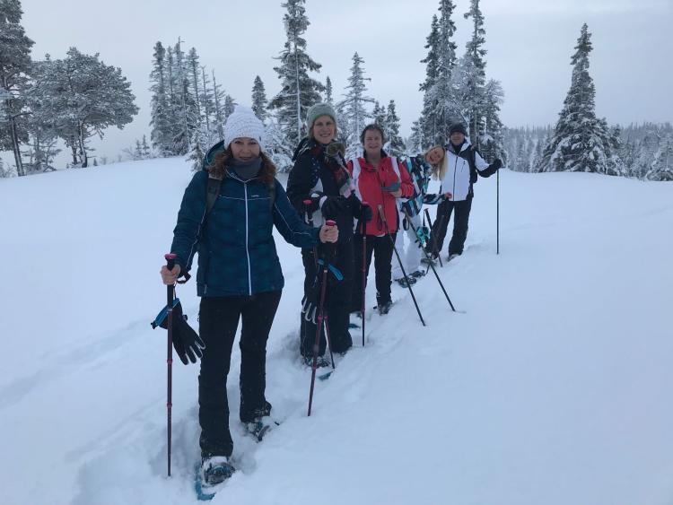 Singlereis Winters Avontuur in Zweeds Lapland
