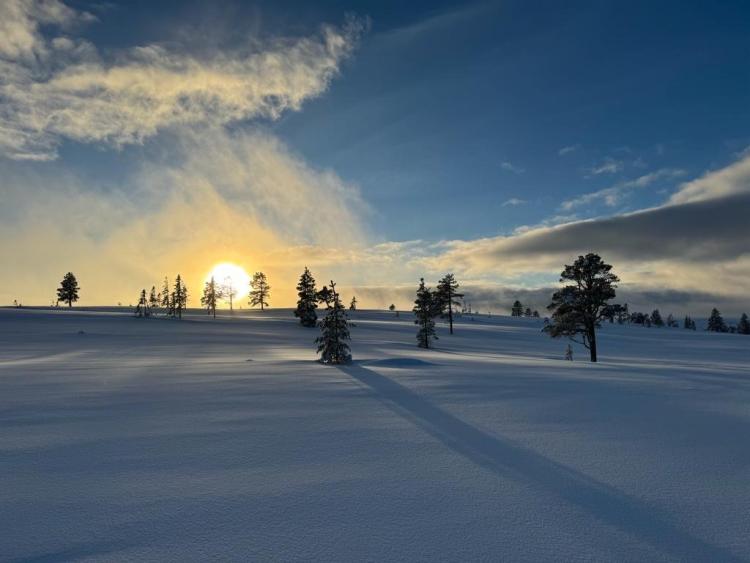 Singlereis Winters Avontuur in Zweeds Lapland