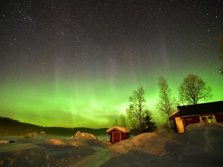 Singlereis Winters Avontuur in Zweeds Lapland