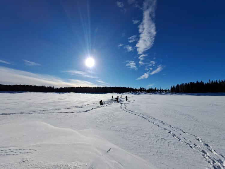 Singlereis Winters Avontuur in Zweeds Lapland