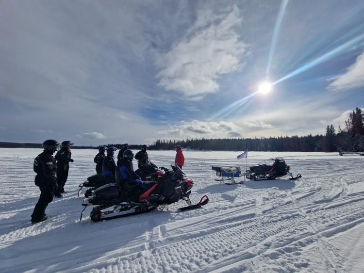 Singlereis Winters Avontuur in Zweeds Lapland