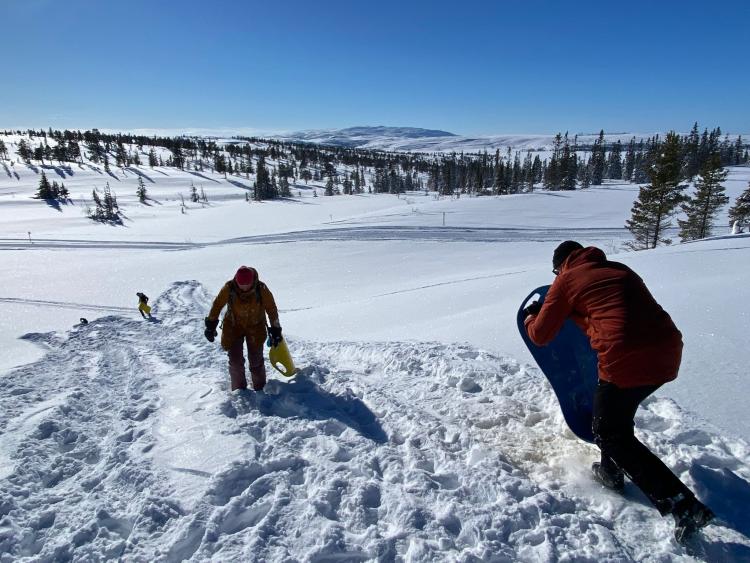 Singlereis Winters Avontuur in Zweeds Lapland