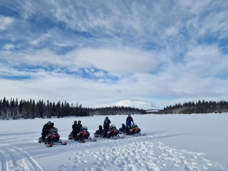 Singlereis Winters Avontuur in Zweeds Lapland
