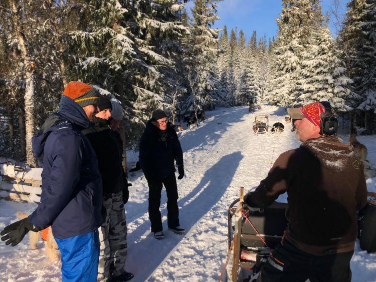 Singlereis Winters Avontuur in Zweeds Lapland