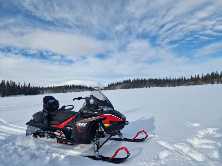 Singlereis Winters Avontuur in Zweeds Lapland