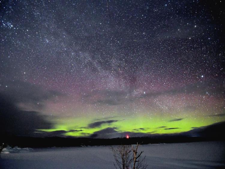 Singlereis Winters Avontuur in Zweeds Lapland