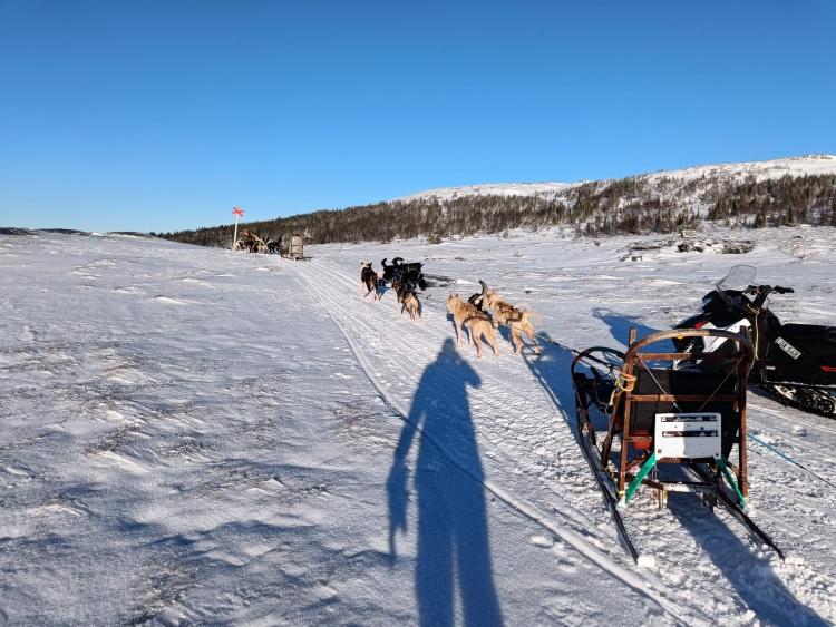 Singlereis Winters Avontuur in Zweeds Lapland