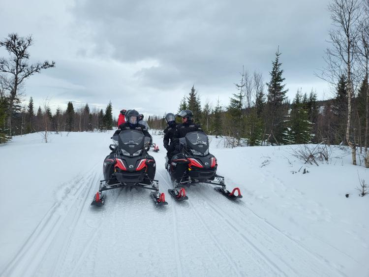Singlereis Winters Avontuur in Zweeds Lapland