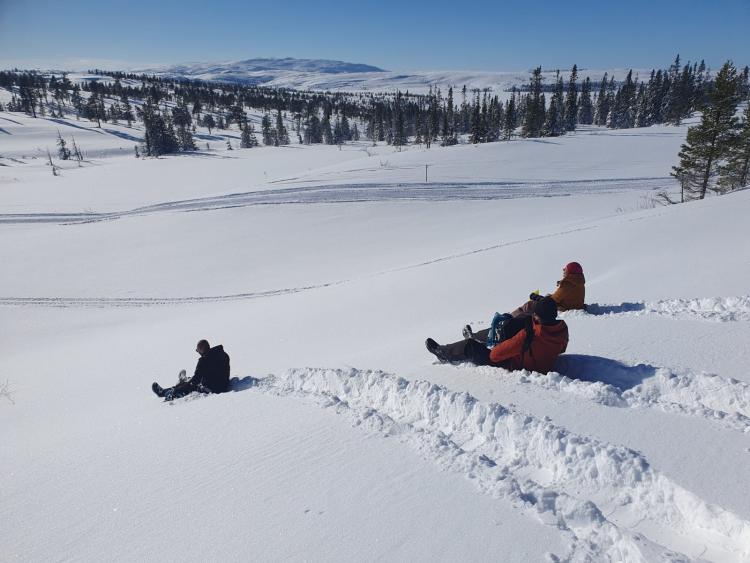 Singlereis Winters Avontuur in Zweeds Lapland
