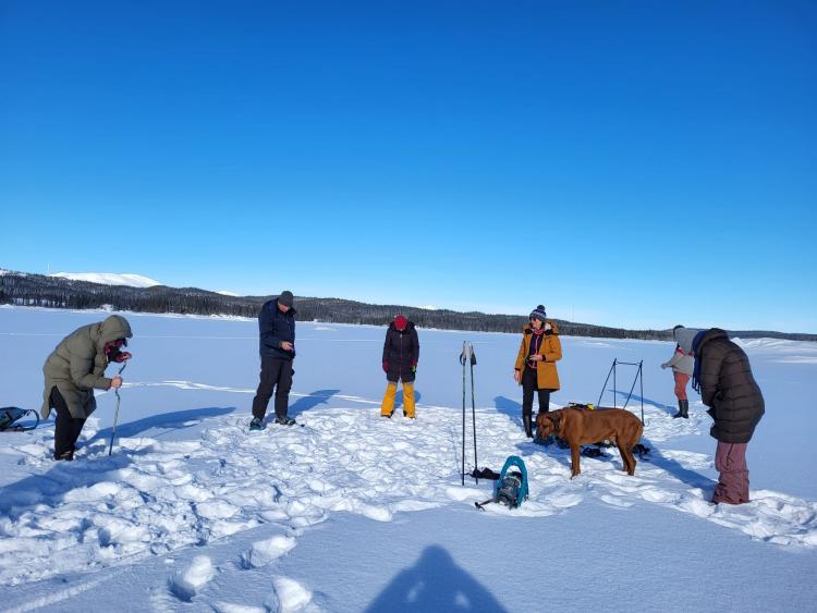 Singlereis Winters Avontuur in Zweeds Lapland