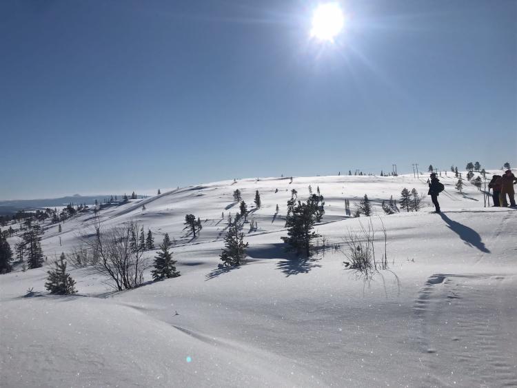 Singlereis Winters Avontuur in Zweeds Lapland