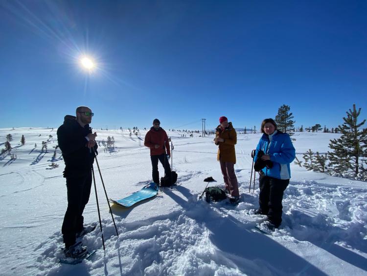 Singlereis Winters Avontuur in Zweeds Lapland