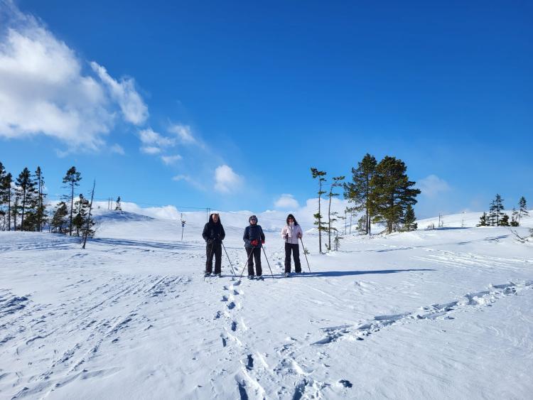 Singlereis Winters Avontuur in Zweeds Lapland