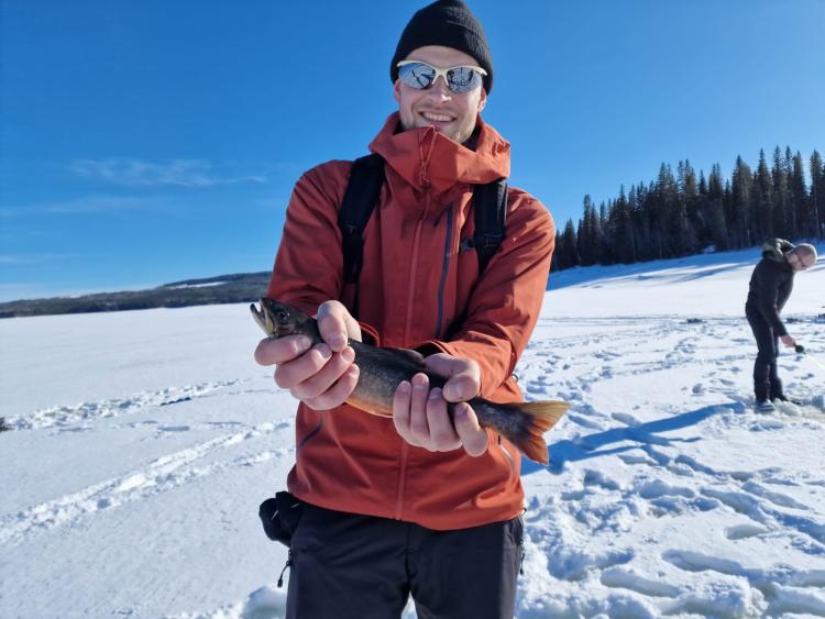 Singlereis Winters Avontuur in Zweeds Lapland