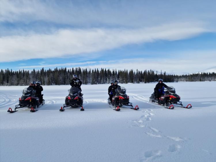 Singlereis Winters Avontuur in Zweeds Lapland