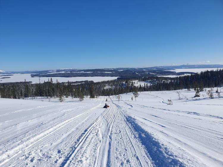 Singlereis Winters Avontuur in Zweeds Lapland