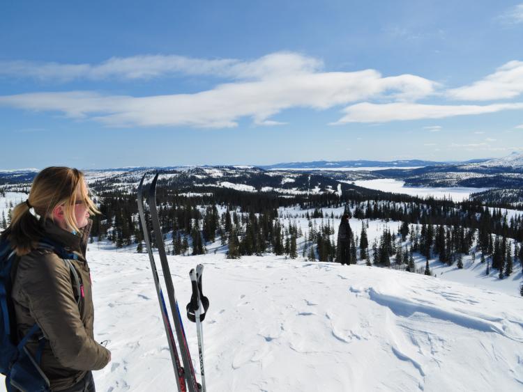 Singlereis Winters Avontuur in Zweeds Lapland