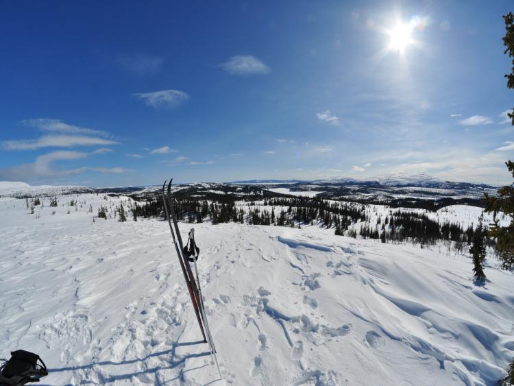 Singlereis Winters Avontuur in Zweeds Lapland