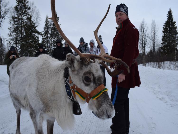 Singlereis Winters Avontuur in Zweeds Lapland