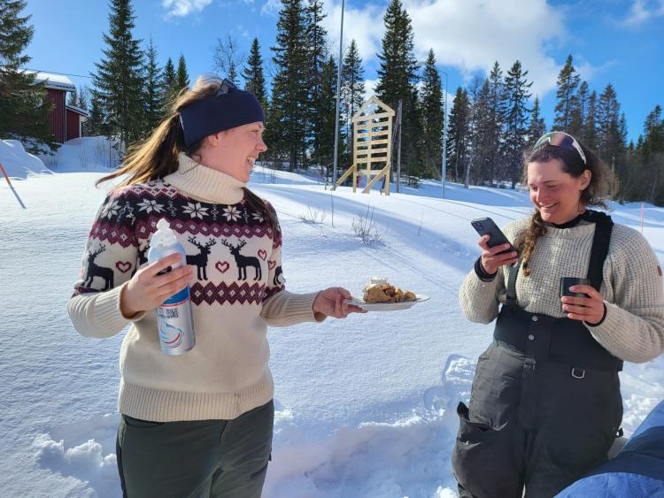 Singlereis Winters Avontuur in Zweeds Lapland