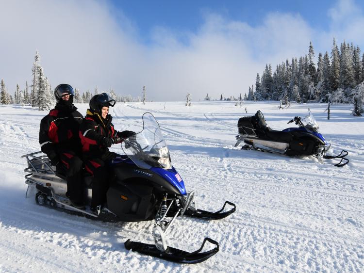 Singlereis Winters Avontuur in Zweeds Lapland
