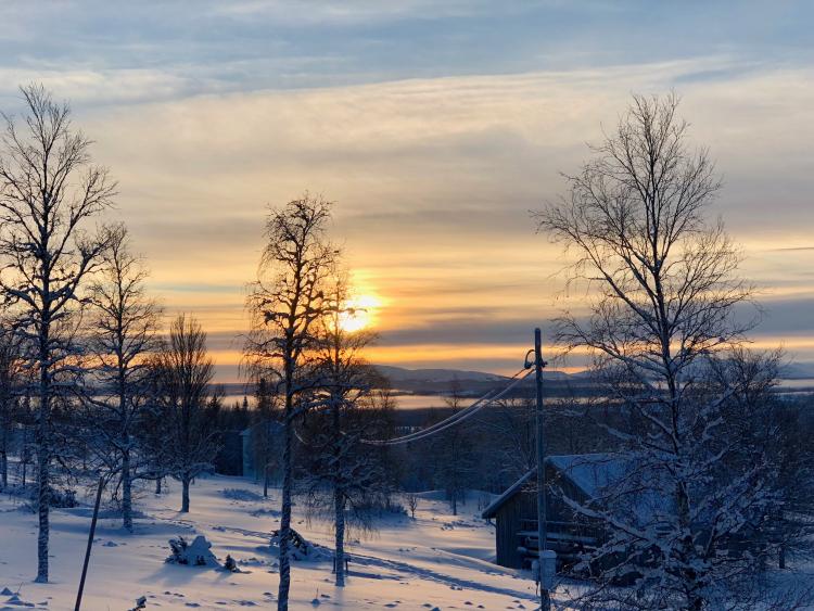 Singlereis Winters Avontuur in Zweeds Lapland