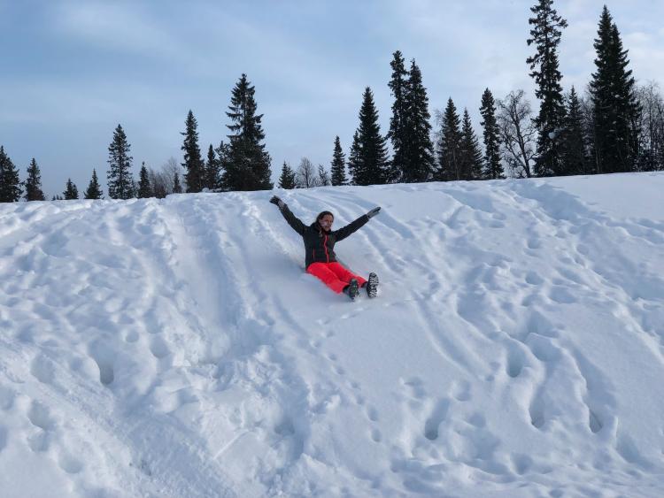 Singlereis Winters Avontuur in Zweeds Lapland