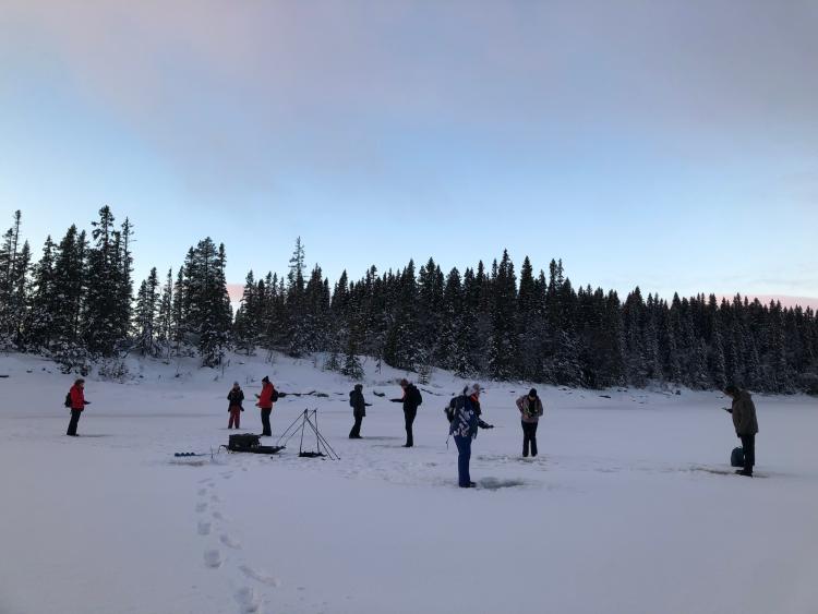 Singlereis Winters Avontuur in Zweeds Lapland