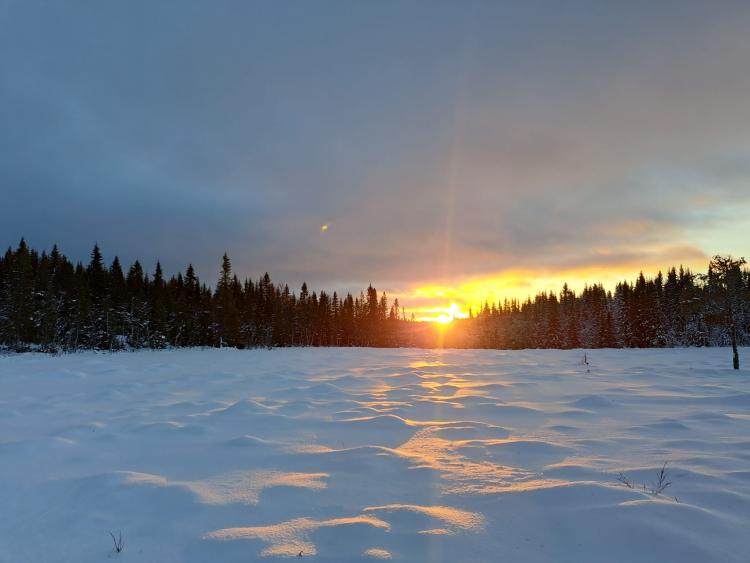 Singlereis Winters Avontuur in Zweeds Lapland