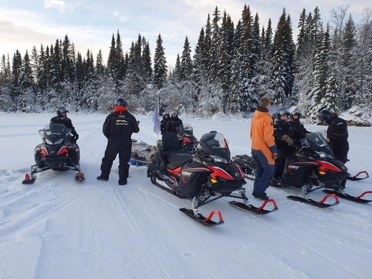 Singlereis Winters Avontuur in Zweeds Lapland