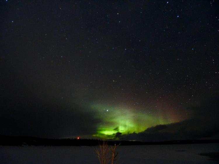 Singlereis Winters Avontuur in Zweeds Lapland