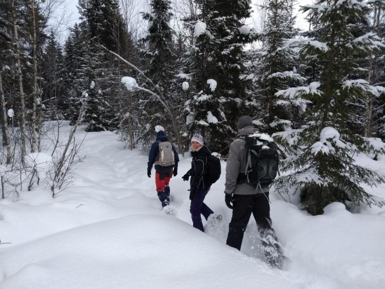Singlereis Winters Avontuur in Zweeds Lapland
