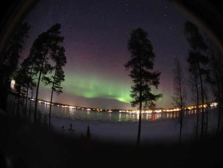 Singlereis Winters Avontuur in Zweeds Lapland