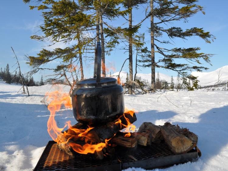 Singlereis Winters Avontuur in Zweeds Lapland