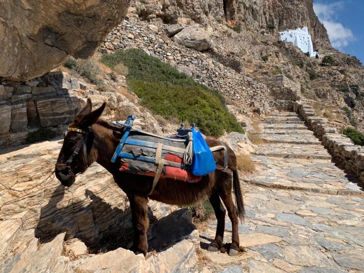 Singlereis Zeilen Kos en Griekse Eilanden