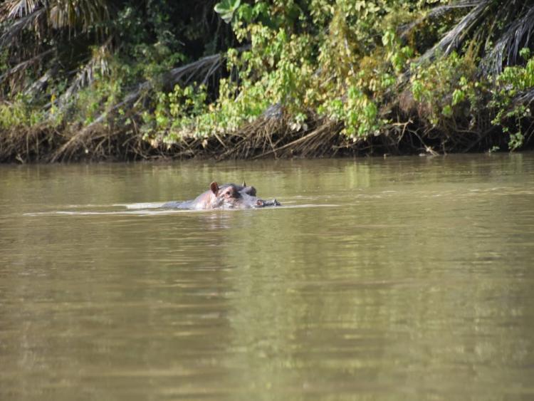 Singlereis Zon, Zee en Strand in Gambia 